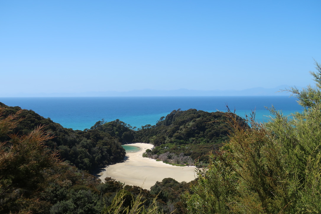 A quiet beach cove — the WildInvest Book Club