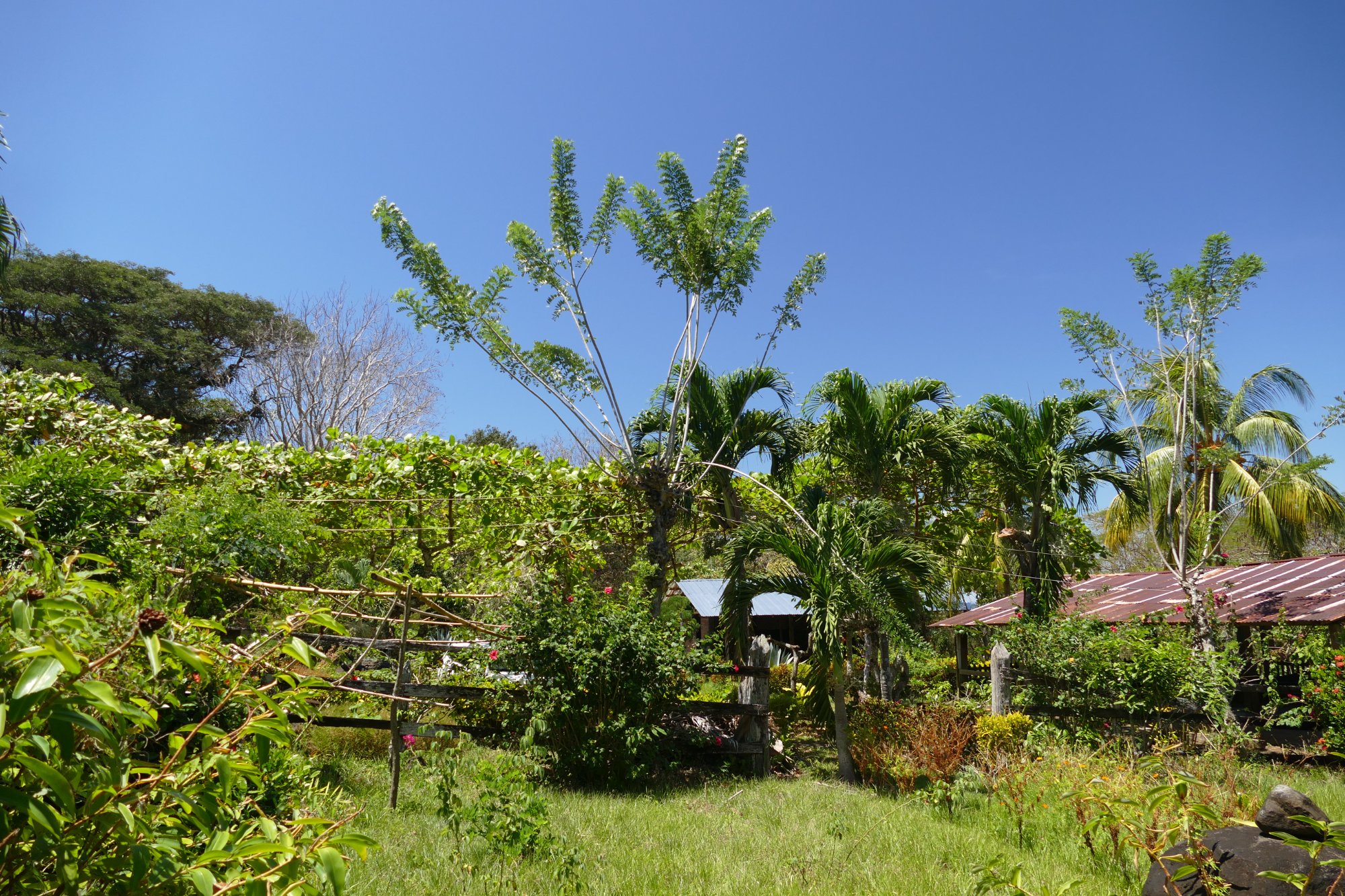 Community life on Ometepe Island, Nicaragua