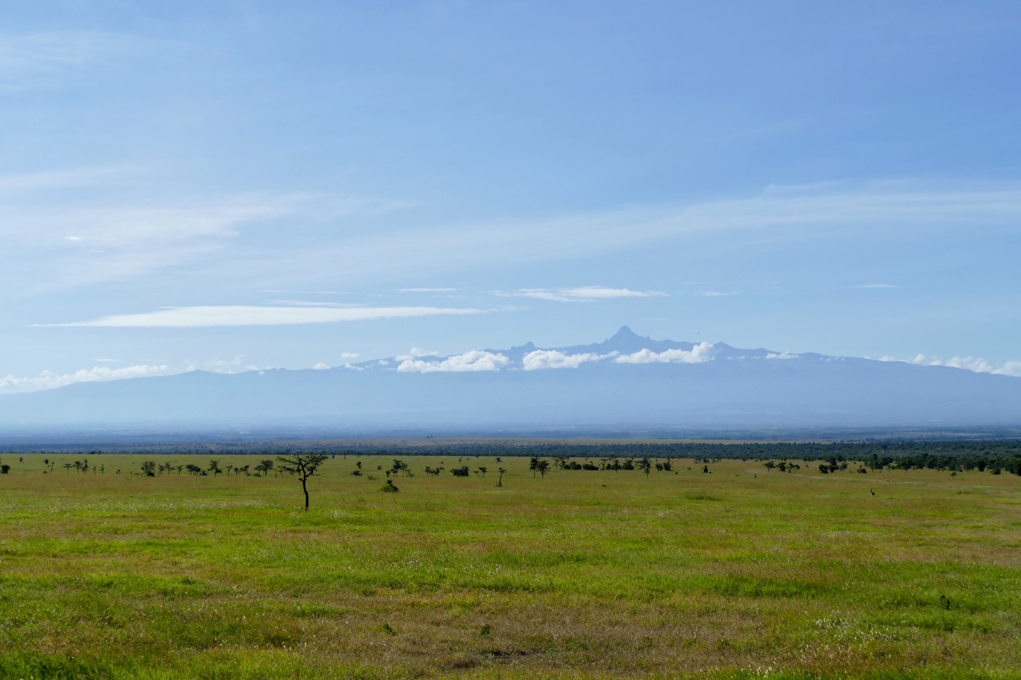 The plains of Kenya at dusk, Mount Kenya in the distance