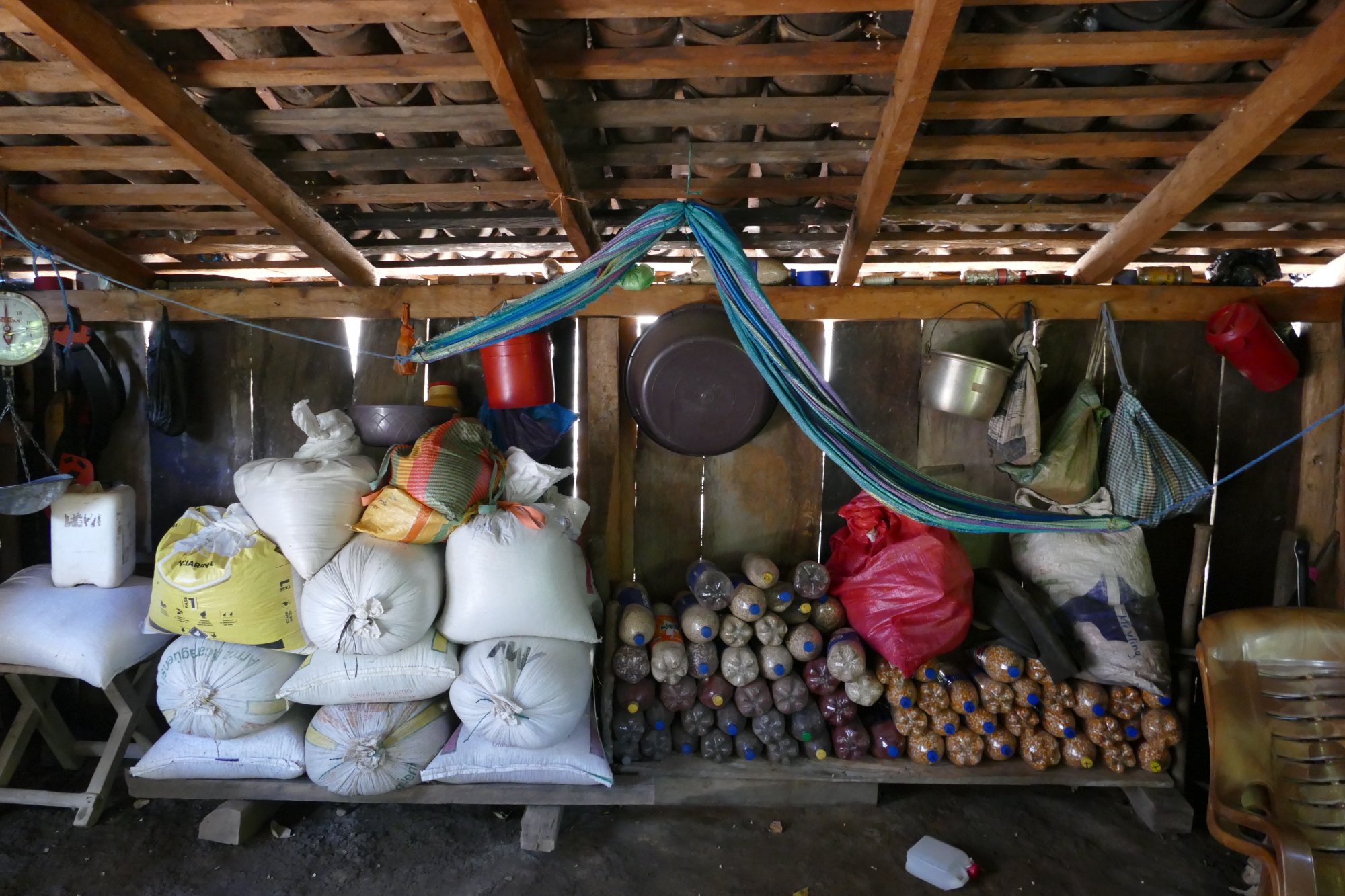 Community grain reserves and seed stores on Marcia's farm in La Camaroncita