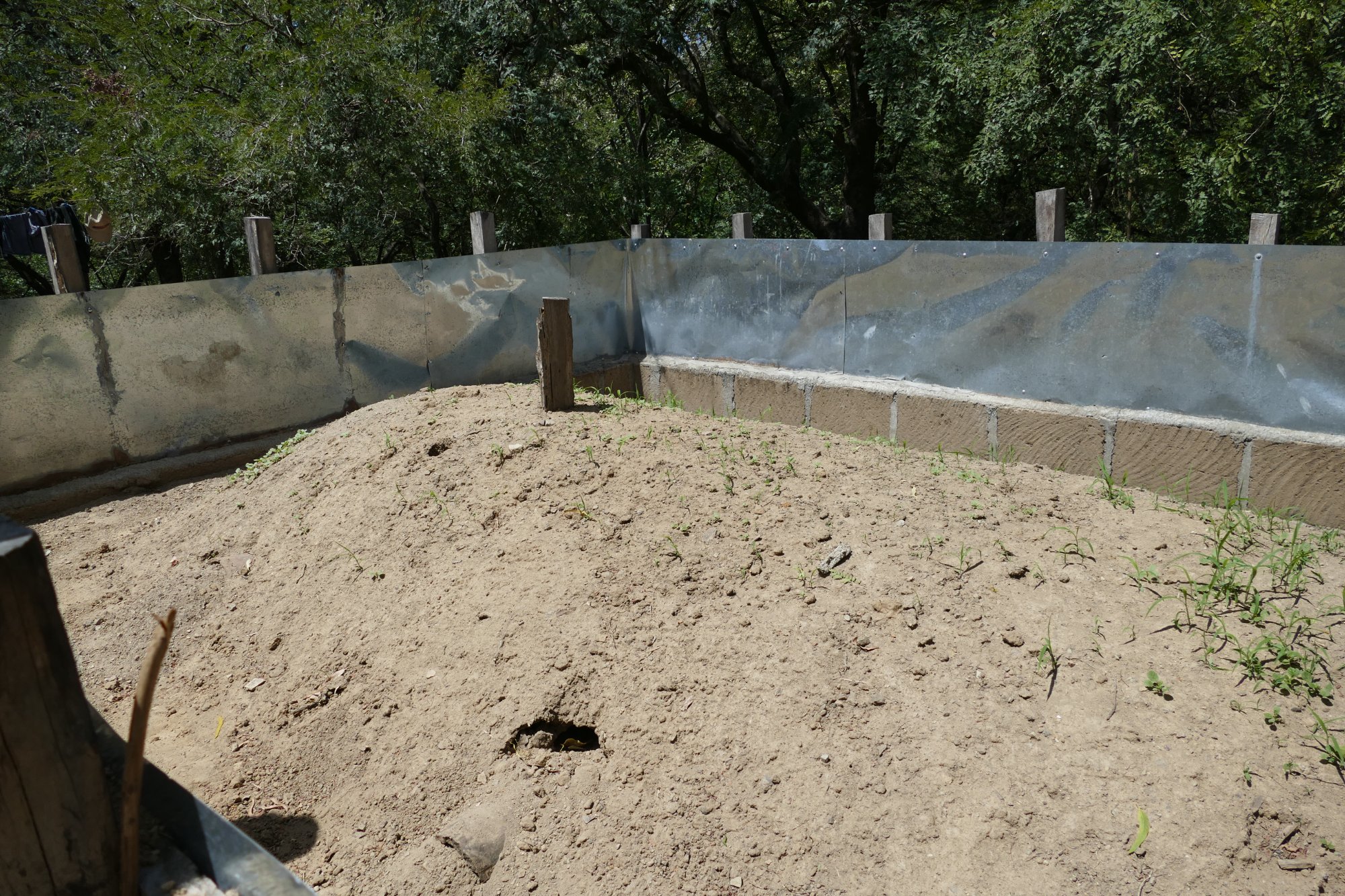 Edgar's iguana nesting enclosure in La Camaroncita, a purpose-built sand pit where iguanas lay and incubate their eggs
