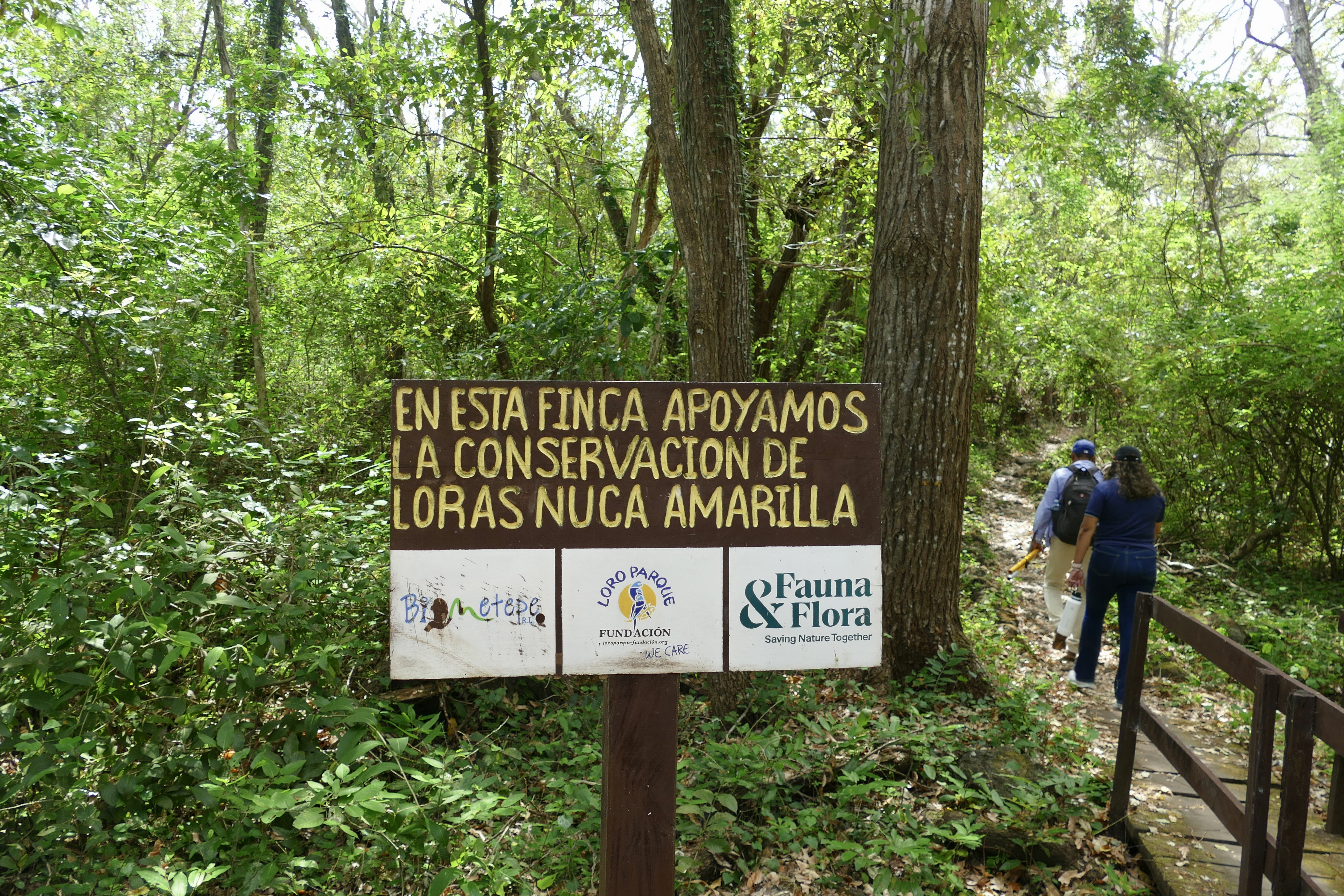 A trailside sign reading 'En esta finca apoyamos la conservación de loras nuca amarilla', with Biometepe, Loro Parque Fundación and Fauna & Flora logos, as two people walk into the forest beyond