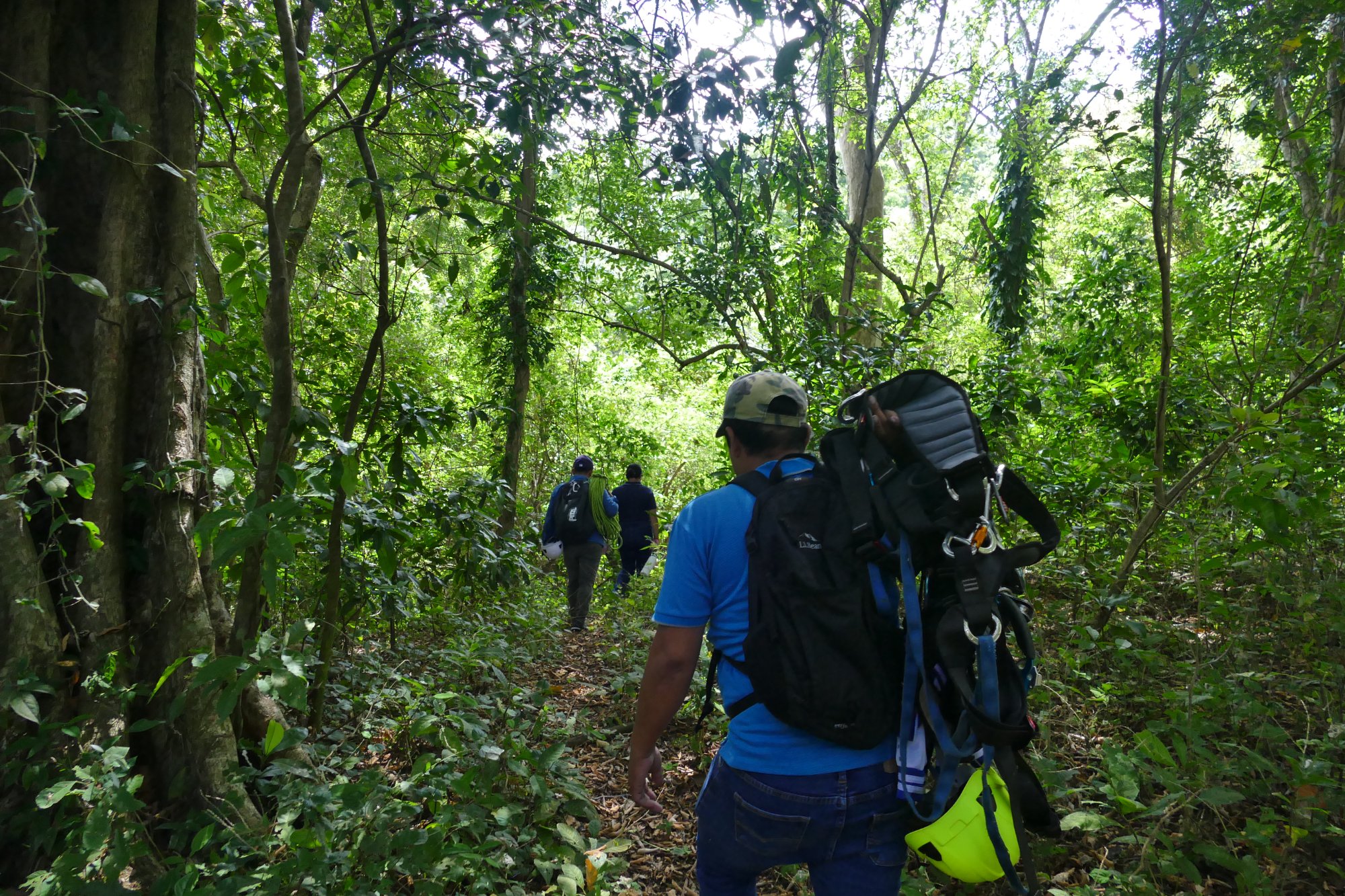The Biometepe team walking through dense forest carrying climbing equipment