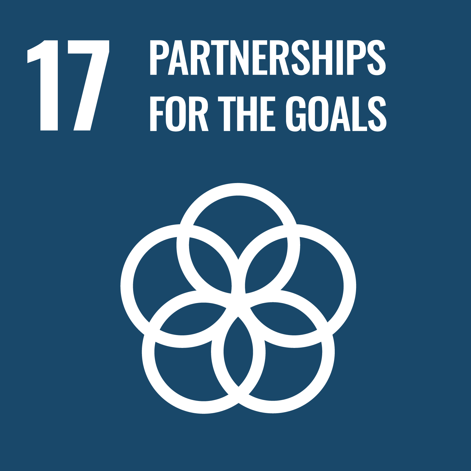 UN Sustainable Development Goal 17 — Partnerships for the Goals